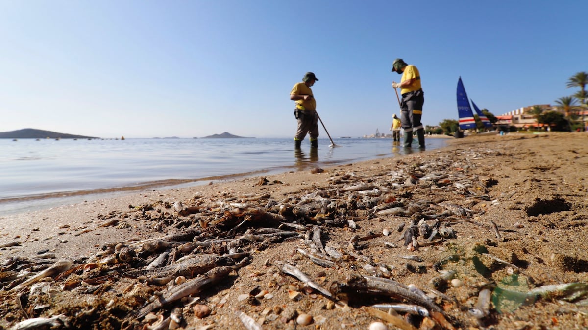 La Guardia Civil localiza en un año 74 pozos ilegales que regaban 2.050 hectáreas y contribuían al deterioro del mar Menor | Clima y Medio Ambiente