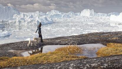 El glaciar de Ilulissat, en Groenlandia, vierte al mar más de veinte mil millones de toneladas de agua helada en forma de icebergs.