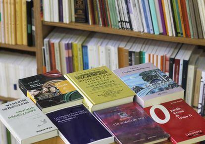 Traduci&oacute;ns de obras estranxeiras ao galego, nun andel da Librar&iacute;a Couceiro de Santiago.