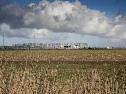Holanda carbon
