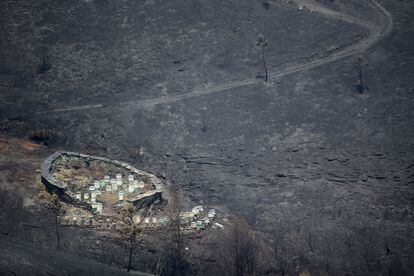 Vista general de la zona afectada por el fuego de Folgoso do Courel (Lugo), el 20 de julio. 