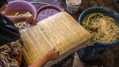 Mantener vivo el papiro en Egipto, pese a la pandemia