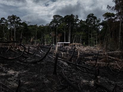Un área deforestada vista desde una carretera amazónica en Careiro Castanho (Brasil), en 2021.