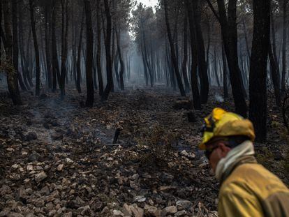 Un bombero trabajaba el jueves en la extinción del incendio en la sierra de la Culebra (Zamora).