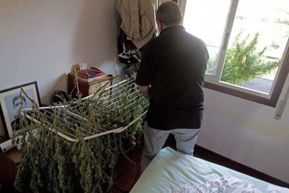 Un vecino de Vigo seca plantas de marihuana en su domicilio en octubre de 2011