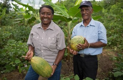 Maximiliana Fabián (izquierda) es una de los agricultores familiares que se han asociado en cooperativas para proveer de alimentos al programa de alimentación escolar, en el proyecto piloto de la provincia de Monte Plata.