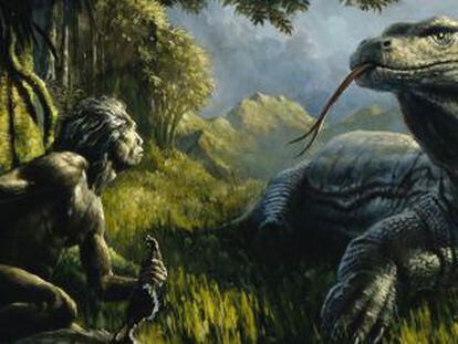 Descubren a los ancestros del 'hobbit' en la isla de Flores | Ciencia | EL PAÍS Descubren a los ancestros del 'hobbit' en la isla de Flores | Ciencia | EL PAÍS