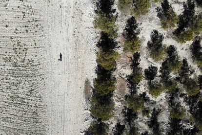 Vista aérea de la montaña de La Muela, repoblada con 50.000 encinas, sabinas moras y pinos carrascos.