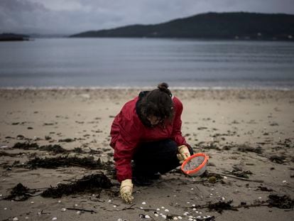 Una voluntaria recogía 'pellets' de plástico en la playa de Noia (A Coruña), este miércoles.