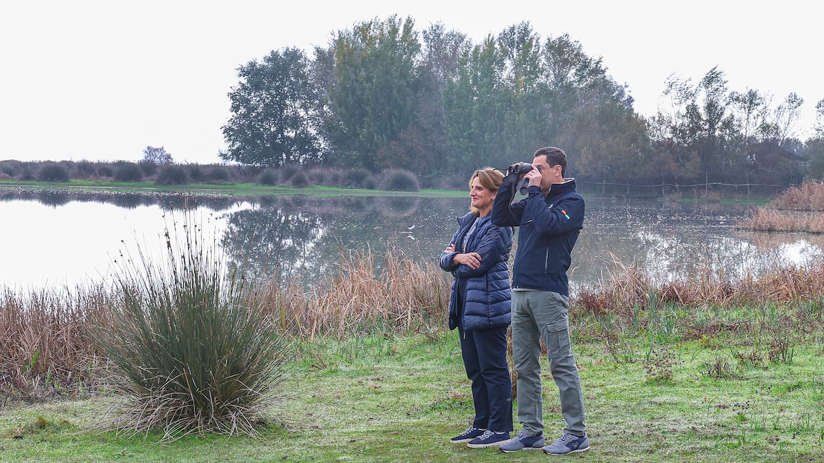 El Gobierno suspende el plan de Doñana por la amnistía prevista por la Junta para determinados agricultores ilegales |  Clima y medio ambiente