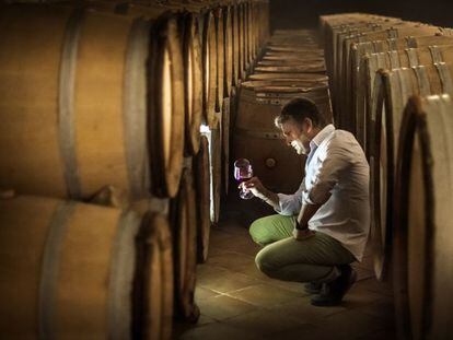 Álvaro Palacios, viticultor autor de La Ermita, en la sala de barricas de su bodega en el pueblo de Gratallops, el corazón del Priorato.