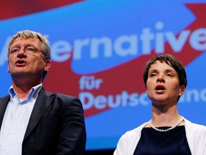 Los copresidentes de Alternativa para Alemania, J&ouml;rg Meuthen y Frauke Petry, en Stuttgart el pasado 1 de mayo. 