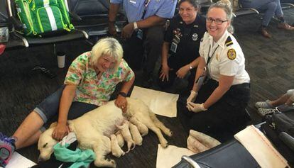 'Ellie' con su dueña y las personas que ayudaron en el parto en el aeropuerto de Tampa. 