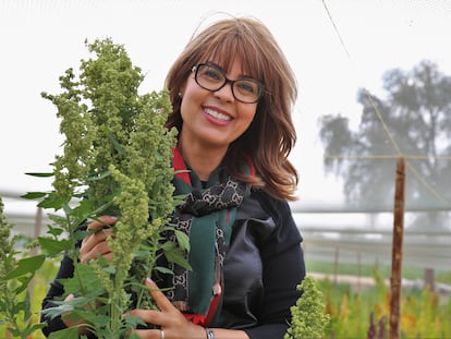 La genetista Ismahane Elouafi, en el Centro Internacional para la Agricultura Biosalina, en Dubái.
