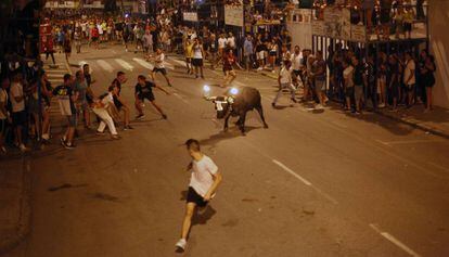 Un 'bou embolat' als carrers d'Amposta durant la festa popular.