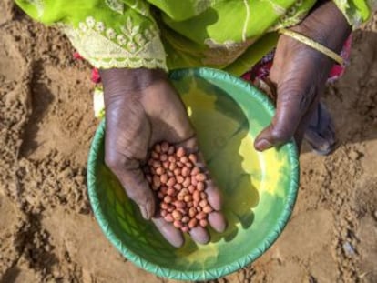 El director general de la FAO, José Graziano da Silva, analiza en esta entrevista las causas y consecuencias de la falta de alimento y qué pueden hacer los ciudadanos al respecto