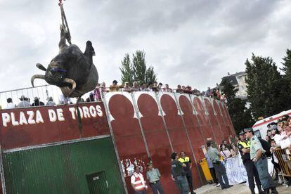 Uno de los toros de la &uacute;ltima corrida celebrada en Sarria, en 2009, es retirado con una gr&uacute;a ante la protesta que se desarrollaba fuera. 