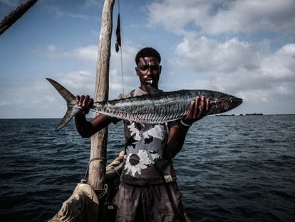 Un pescador sostiene una barracuda recién capturada en el océano Índico, en aguas kenianas.