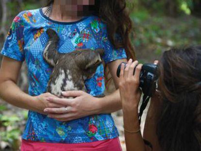 Estos animales salvajes son capturados en la Amazonia peruana para ser usados como atracciones turísticas