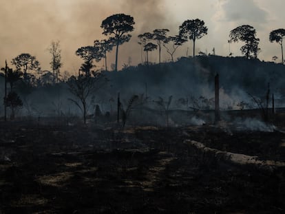 Nova Fronteira, zona amazónica del Norte de Brasil, tras un incendio en septiembre de 2022.