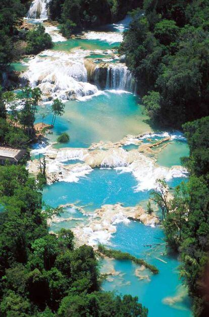 De camino hacia Palenque, puedes hacer una parada en las Cascadas de Agua Azul. Se forman gracias a los afluentes del río Otulún, Shumuljá y Tulijá, formando cañones no muy profundos con acantilados verticales que dan origen a sus cascadas blanquiazules. Se encuentran al norte del Estado de Chiapas, en el municipio de Tumbalá a 64 kilómetros de la ciudad de Palenque. Las aguas tienen ese hermoso color azul por las sales de carbonatos que llevan disueltas. La vegetación es de tipo selva de montaña, exuberante.