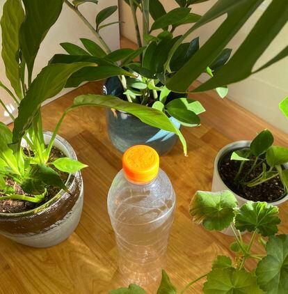 Como recomienda el ambientólogo Clemente, Fernando Nuño agujereó el tapón de una botella de plástico que ahora le sirve para dosificar el riego de sus plantas.