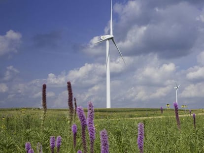 parque eólico Iberdrola