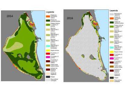 Mapa del antes y el después de la distribución de las praderas marinas del Mar Menor.