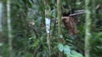 El indio del agujero corta un árbol con un hacha, en un fotograma de un video realizado durante un monitoreo de la Fundación Nacional del Indio (Funai), en 2018.