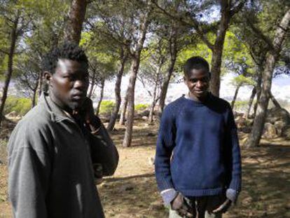 Dos subsaharianos esperan para saltar a Melilla desde el monte Gurugú