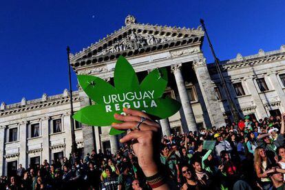 Simpatizantes de la legalizaci&oacute;n de la marihuana afuera del parlamento uruguayo