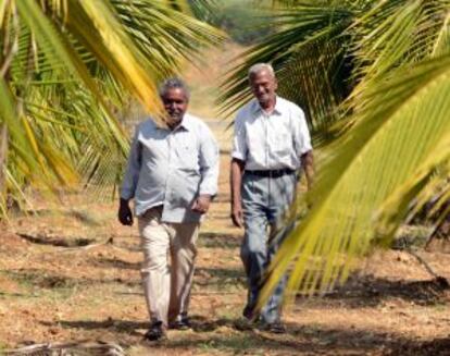 Gangadhar Bhukya (a la izquierda) y Obularidy Bygari pasean por la plantación.