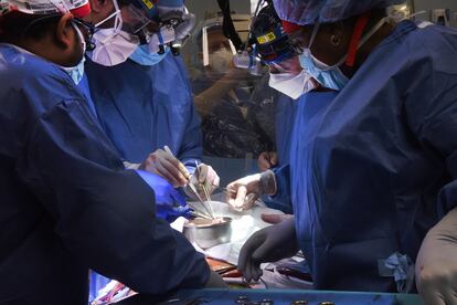 Foto de la Universidad de Maryland del equipo médico que ha efectuado el trasplante de corazón de cerdo en un humano.
