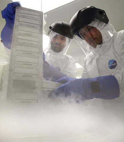 Investigadores de Granada sacan células madre de nitrógeno líquido.