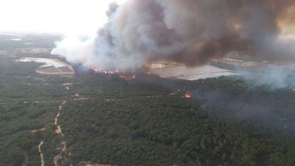 Vista del incendio en el paraje La Peñuela, ayer.