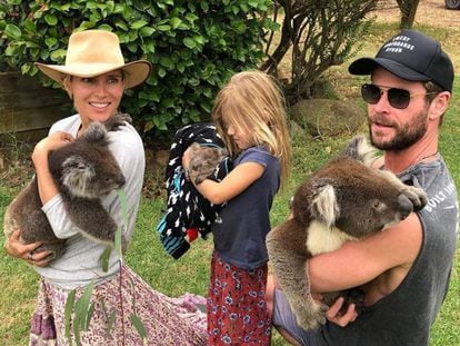Chris Hemsworth, Elsa Pataky y su hija India Rosa con una familia de Koalas en brazos. "¿Cuál es el más bonito?", preguntaba la actriz española en Instagram.
