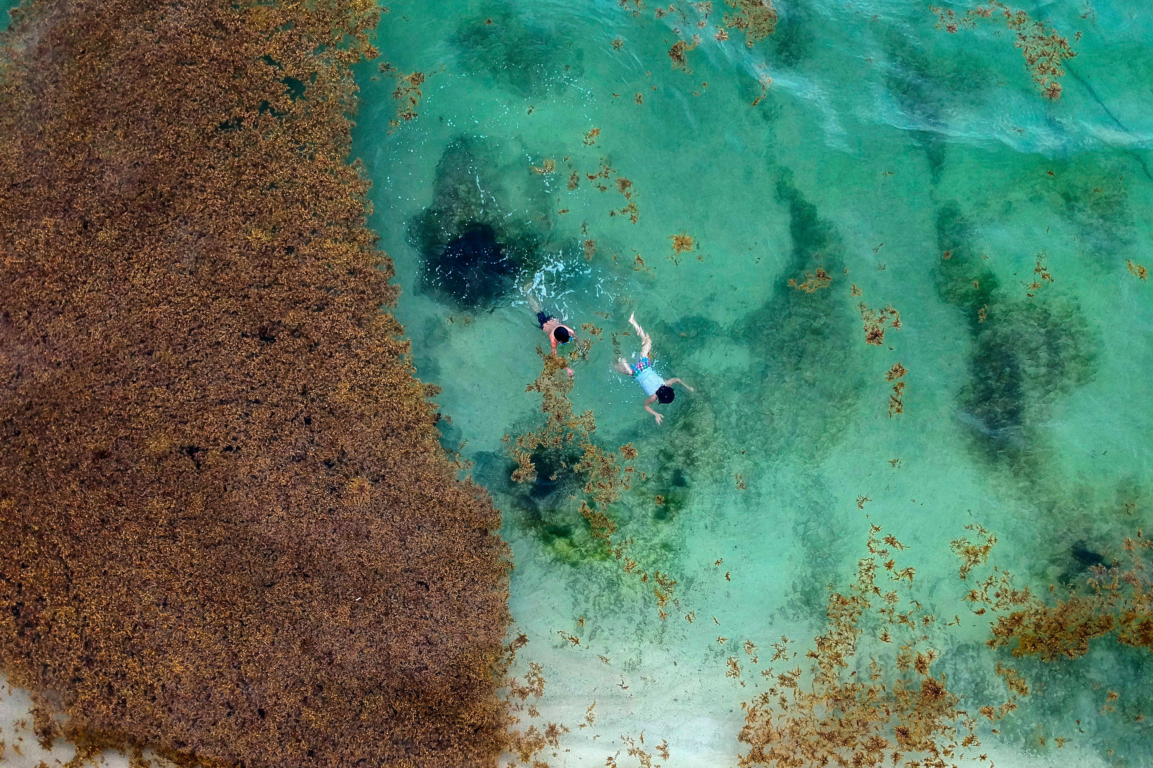 Turistas nadan en la playa de Xcalacoco en Playa del Carmen.