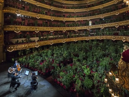 Un total de 2.292 plantas se 'sentaron' en las butacas del Gran Teatro del Liceo, en Barcelona, en junio. Ante ellas, el UceLi Quartet interpretó el 'Crisantemi', de Puccini.