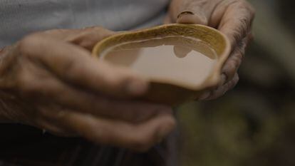 Miske, la bebida indígena ancestral que está reviviendo en la mitad del mundo