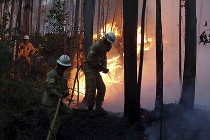 Els bombers lluitant contra les flames prop de la localitat d'Avelar.
