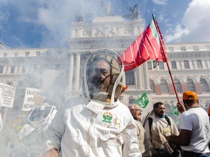 Un apicultor viste con un gorro de apicultura durante una concentración de las organizaciones profesionales agrarias y entidades relacionadas con el sector apícola frente al Ministerio de Agricultura, este jueves, en Madrid.