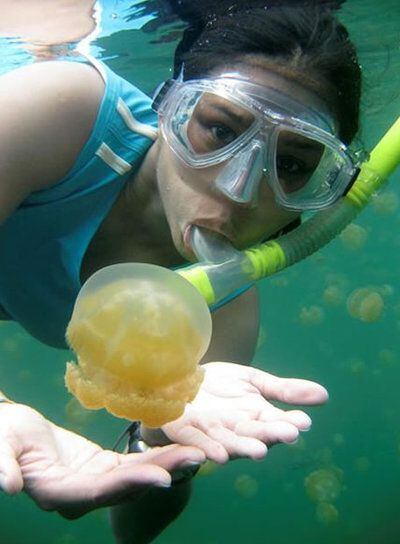 Una mujer bucea en la Laguna de las Medusas de Palau