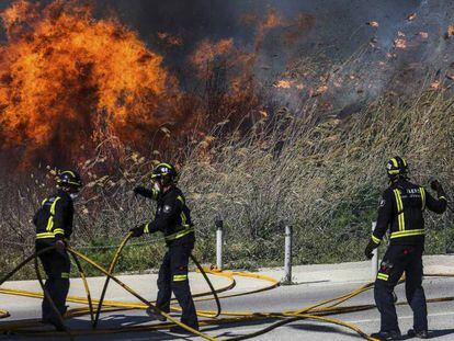 Bomberos durante las labores de extinción del incendio declarado este lunes en Feixes des Prat de Vila (Ibiza).