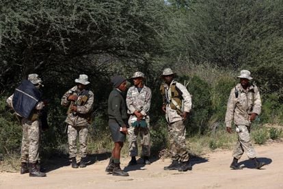 Los guardabosques observan el traslado de los rinocerontes blancos y negros. Un grupo de formado por varios de estos profesionales capturó, sedó y trasladó rinocerontes blancos y negros a lo largo de más de 1.600 kilómetros, hasta el Parque Nacional de Zinave, que cuenta con más de 400.000 hectáreas y más de 2.300 animales reintroducidos.