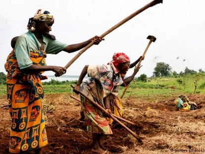 Campesinas en Burundi / DW