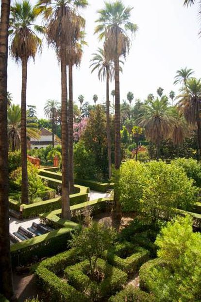 El laberinto vegetal más antiguo de España, en los jardines del Real Alcázar de Sevilla.