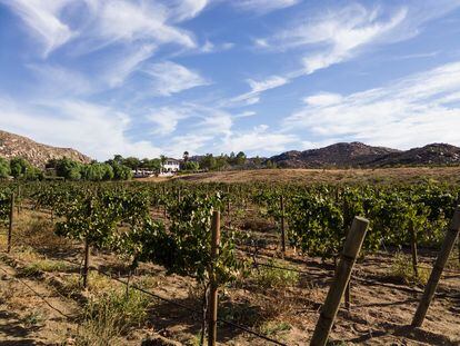 Zona vinícola del Valle de Guadalupe, en Ensenada, Estado de Baja California.