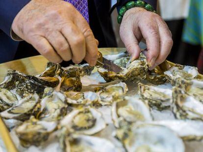 Concurso de abrir ostras en la 33 edición del Salón de Gourmets de Madrid.