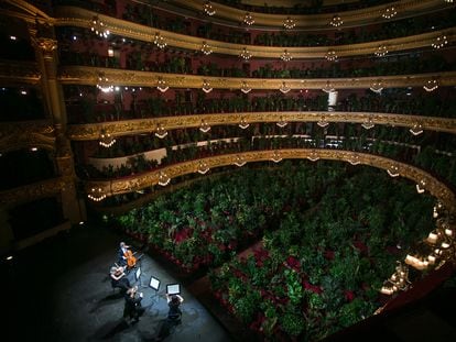 Concierto en junio de 2020 en el Gran Teatre del Liceu de Barcelona con 2.000 plantas como únicos espectadores.