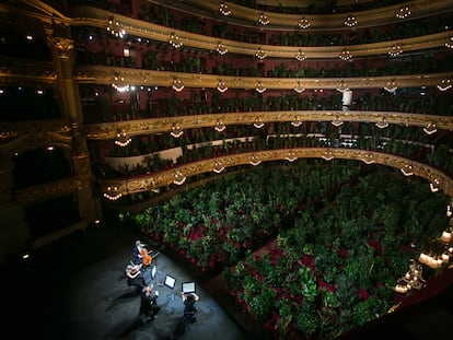 Concierto en junio de 2020 en el Gran Teatre del Liceu de Barcelona con 2.000 plantas como únicos espectadores.